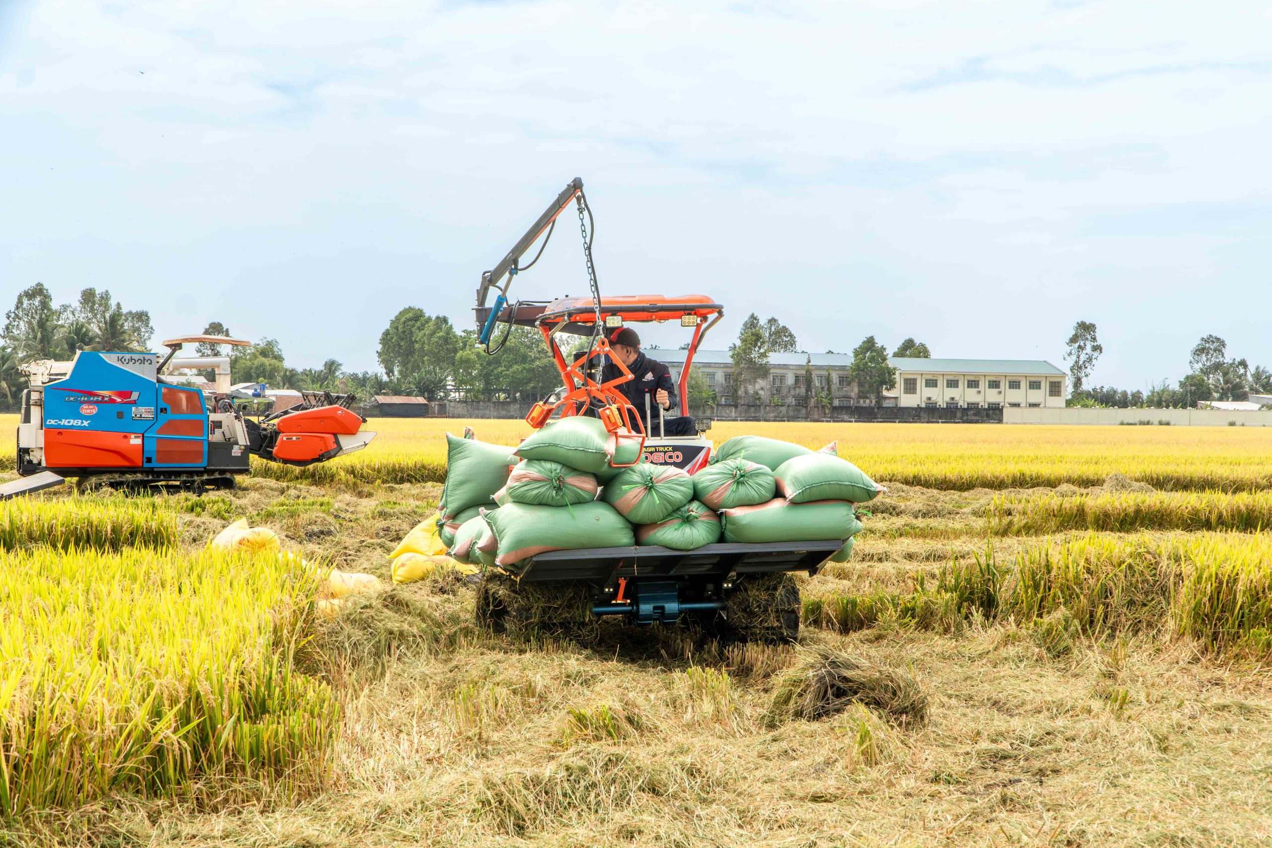 Máy Cộ Lúa Chất Lượng Cao