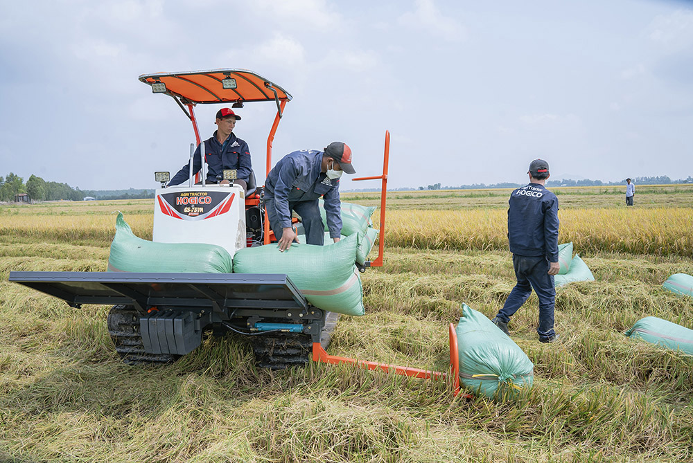 MÁY CỘ LÚA TÍCH HỢP 2 BÀN NÂNG