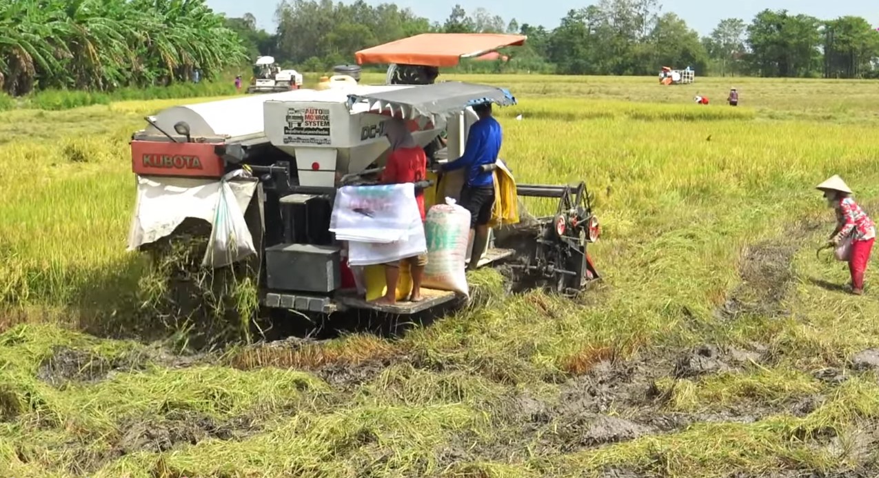 Máy cắt lúa: Công cụ không thể thiếu trong nông nghiệp