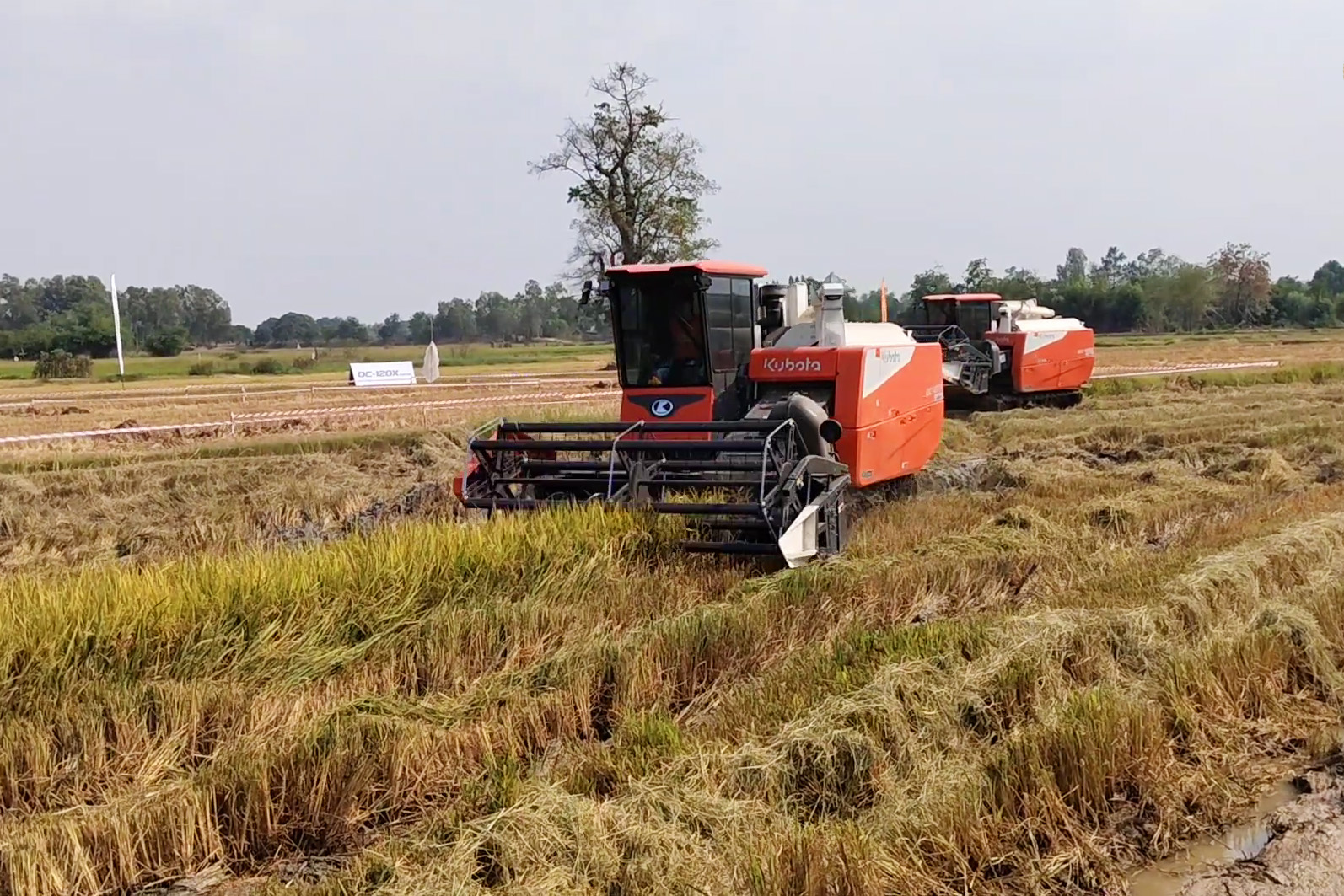 maygatkubota120x
